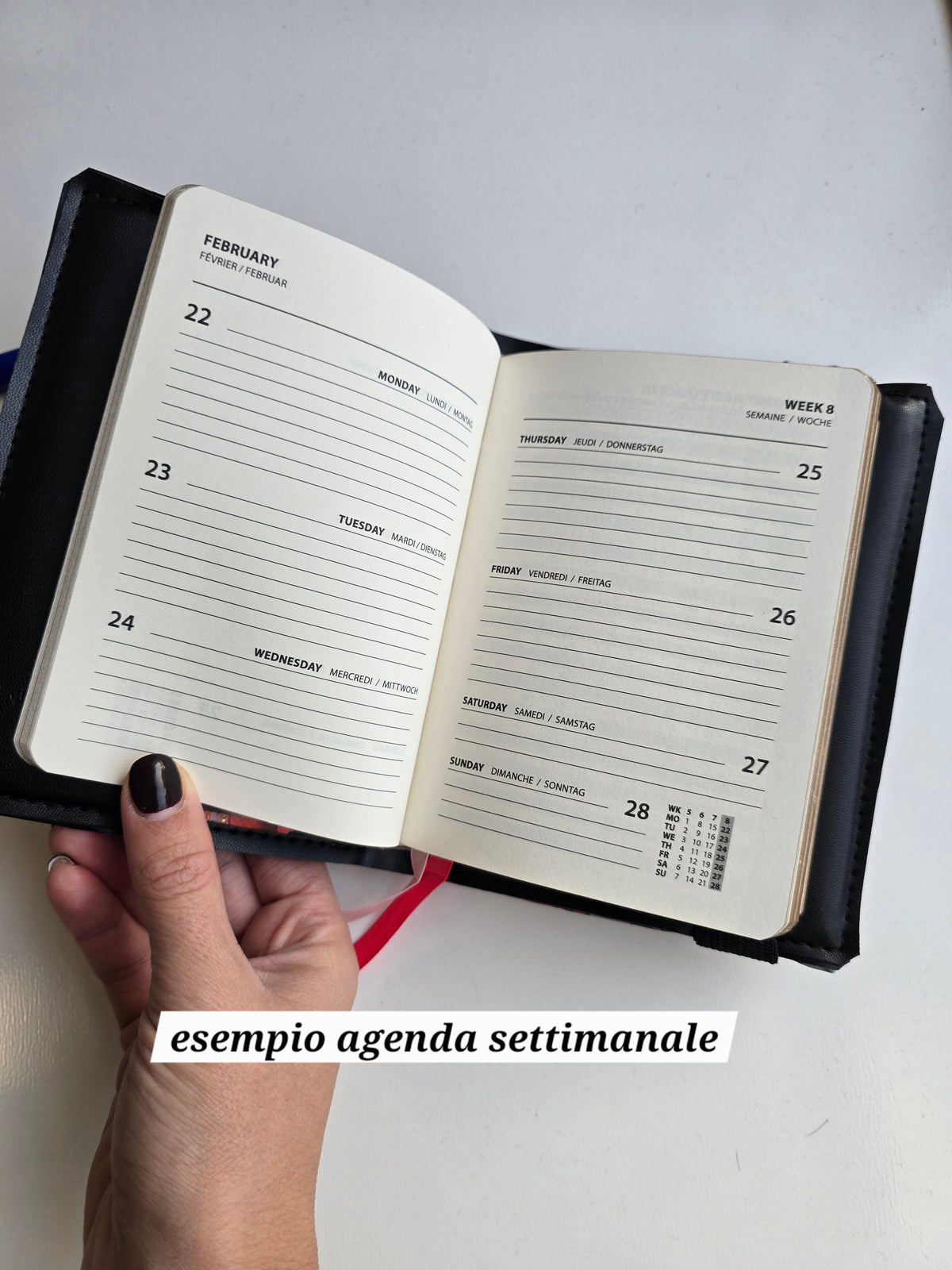 Agenda Farfalle